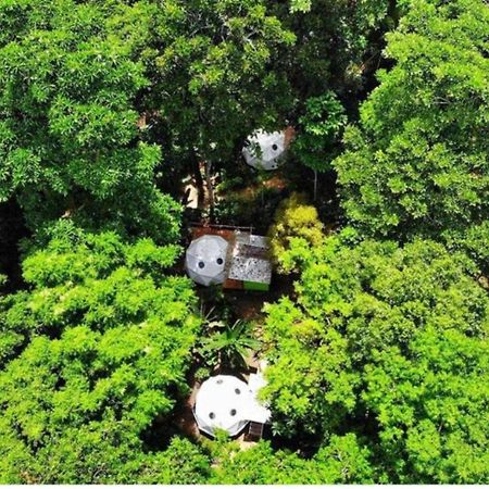 Faith Glamping Dome Costa Rica Hotel Manzanillo  Eksteriør billede