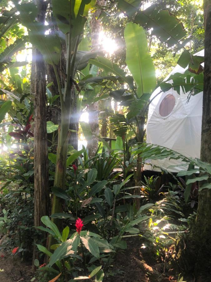 Faith Glamping Dome Costa Rica Hotel Manzanillo  Eksteriør billede