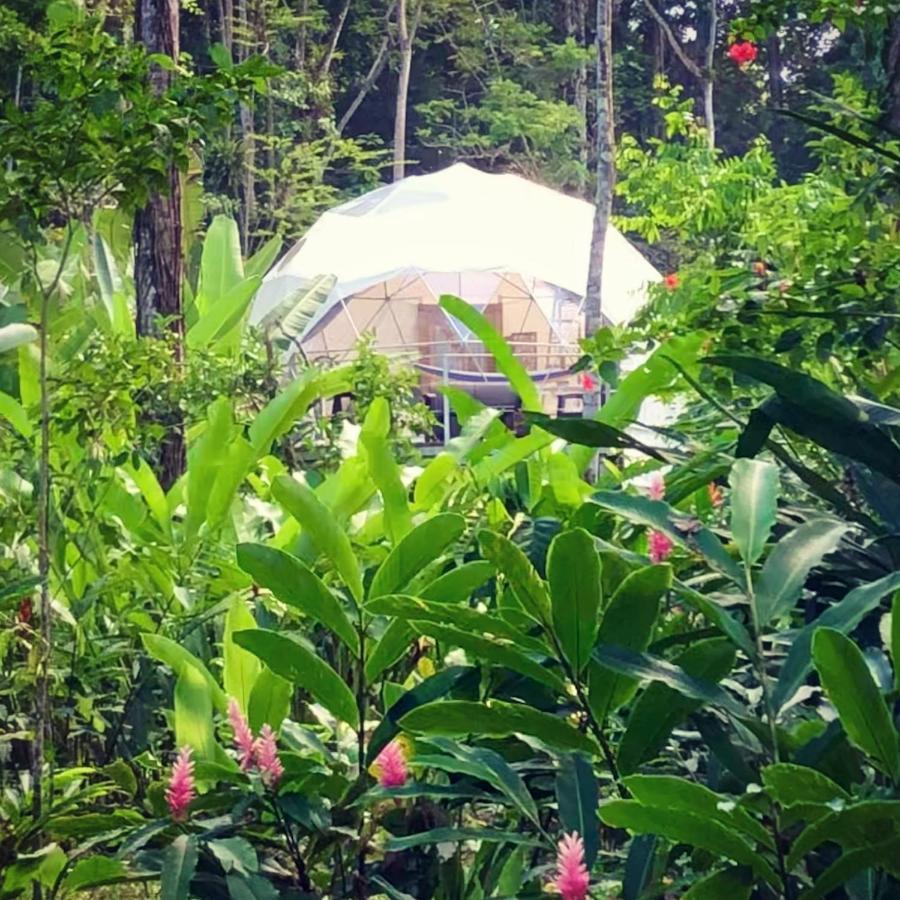Faith Glamping Dome Costa Rica Hotel Manzanillo  Eksteriør billede