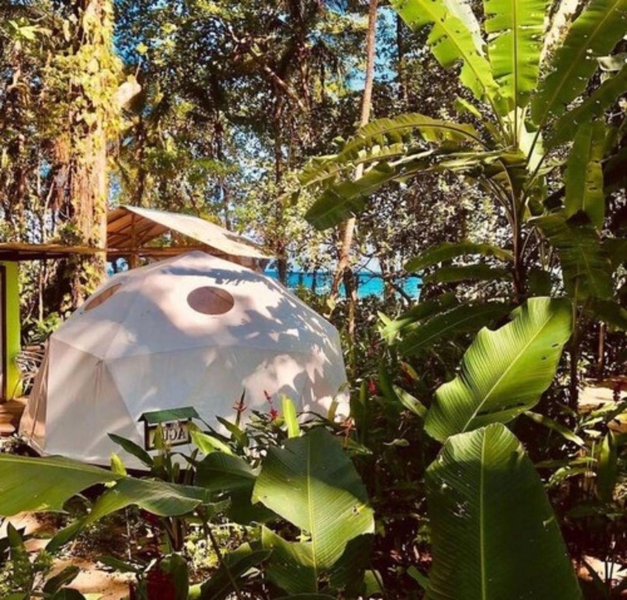 Faith Glamping Dome Costa Rica Hotel Manzanillo  Eksteriør billede