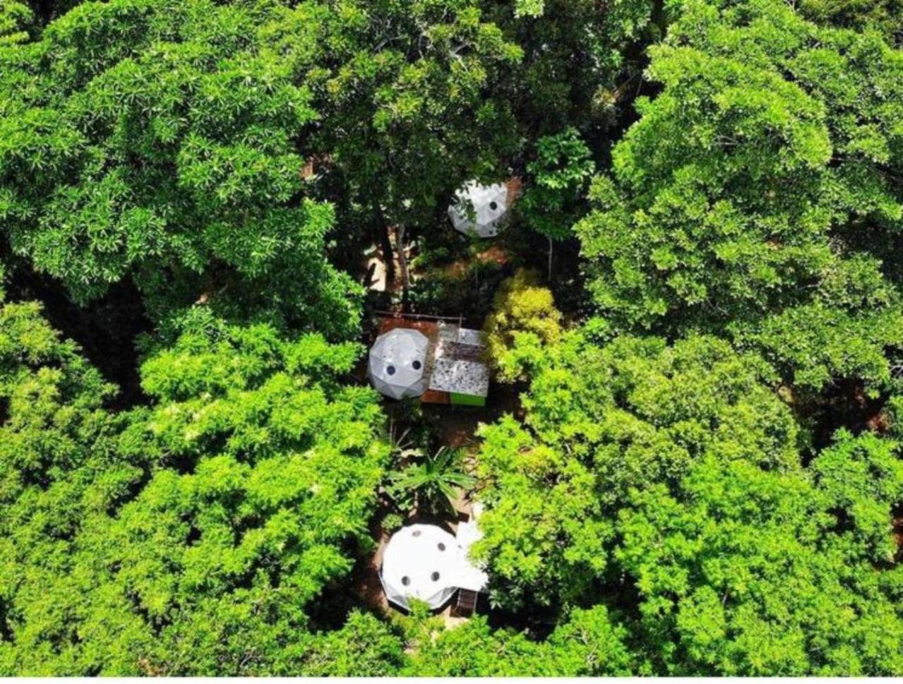 Faith Glamping Dome Costa Rica Hotel Manzanillo  Eksteriør billede