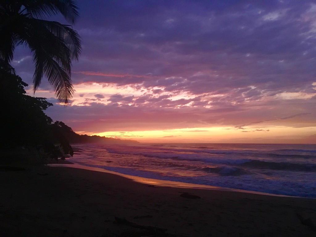 Faith Glamping Dome Costa Rica Hotel Manzanillo  Eksteriør billede