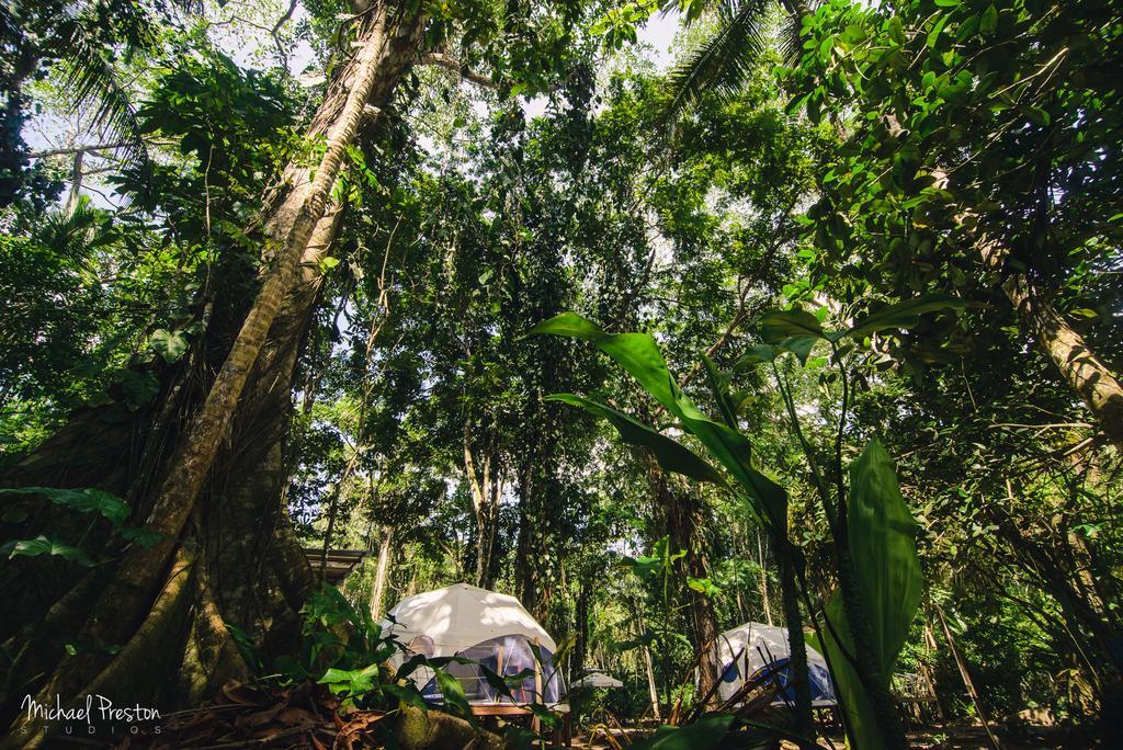 Faith Glamping Dome Costa Rica Hotel Manzanillo  Eksteriør billede